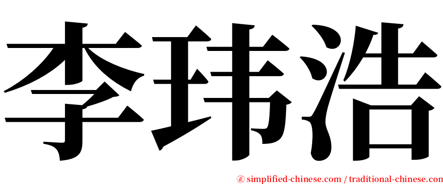 李玮浩 serif font