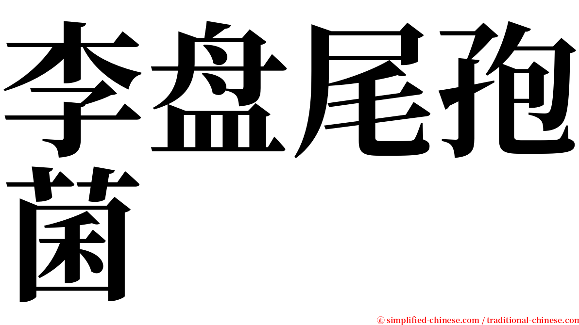 李盘尾孢菌 serif font