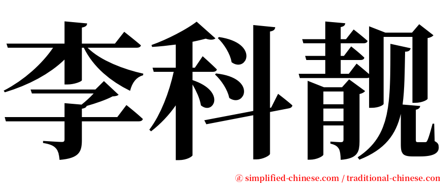 李科靓 serif font