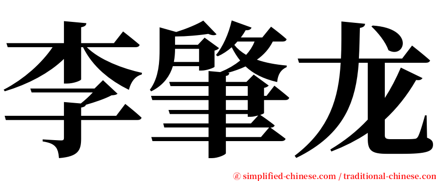 李肇龙 serif font