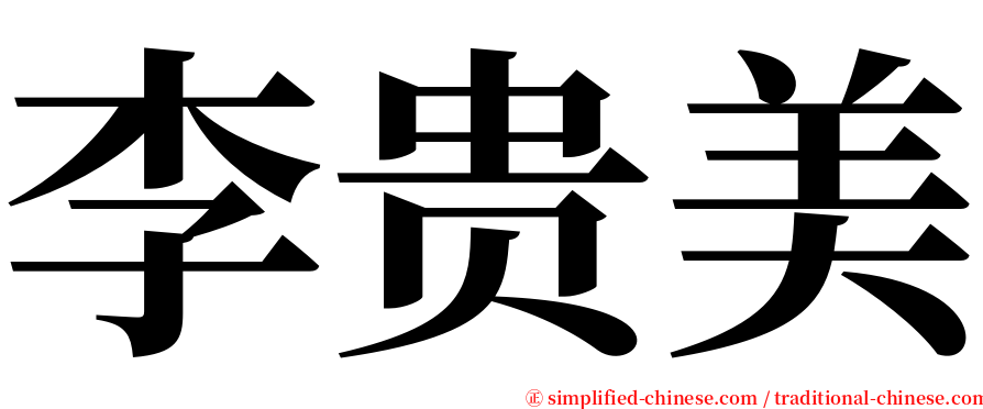 李贵美 serif font