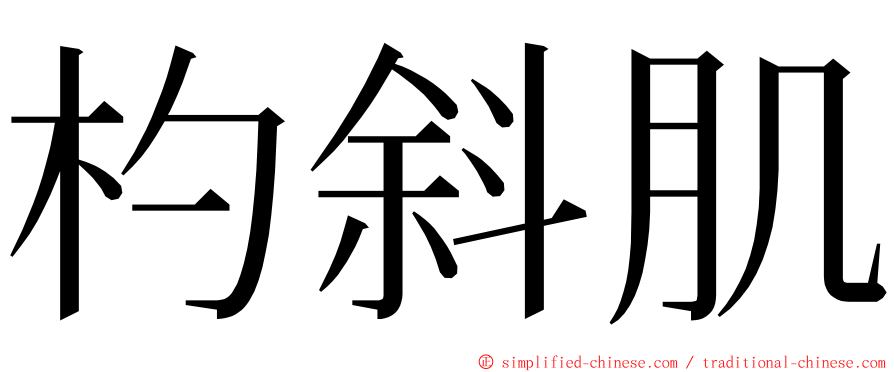 杓斜肌 ming font