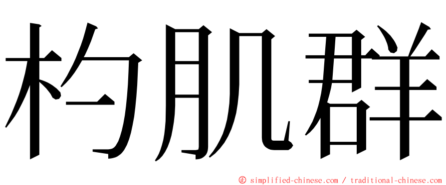 杓肌群 ming font