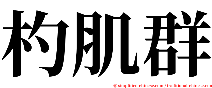 杓肌群 serif font