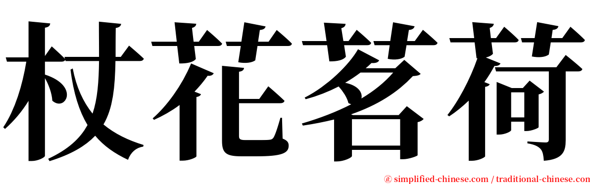 杖花茗荷 serif font