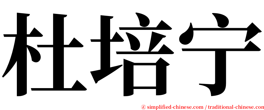 杜培宁 serif font