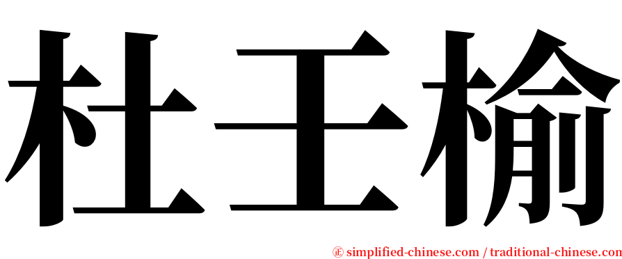 杜壬榆 serif font