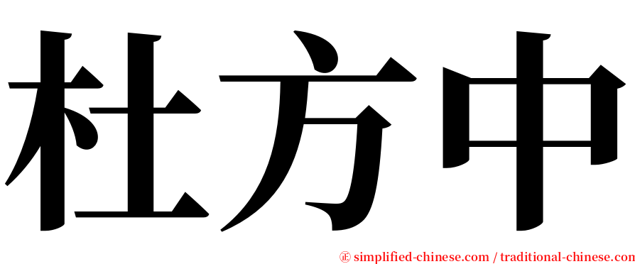 杜方中 serif font