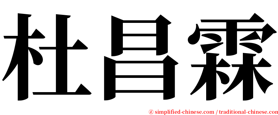 杜昌霖 serif font
