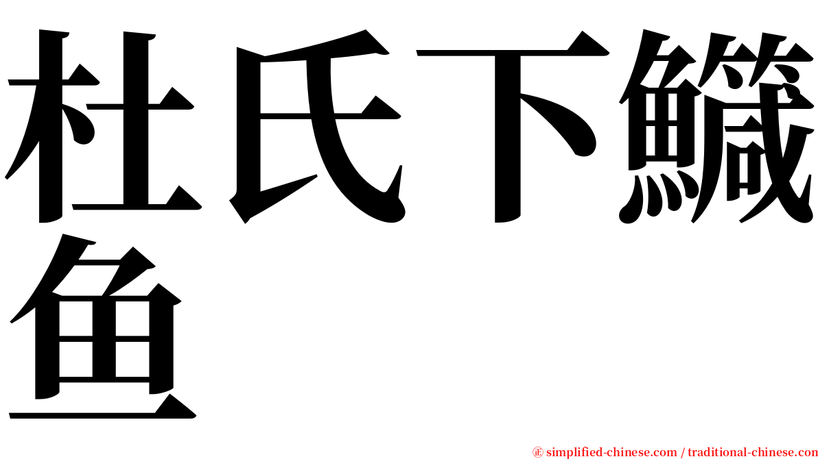 杜氏下鱵鱼 serif font