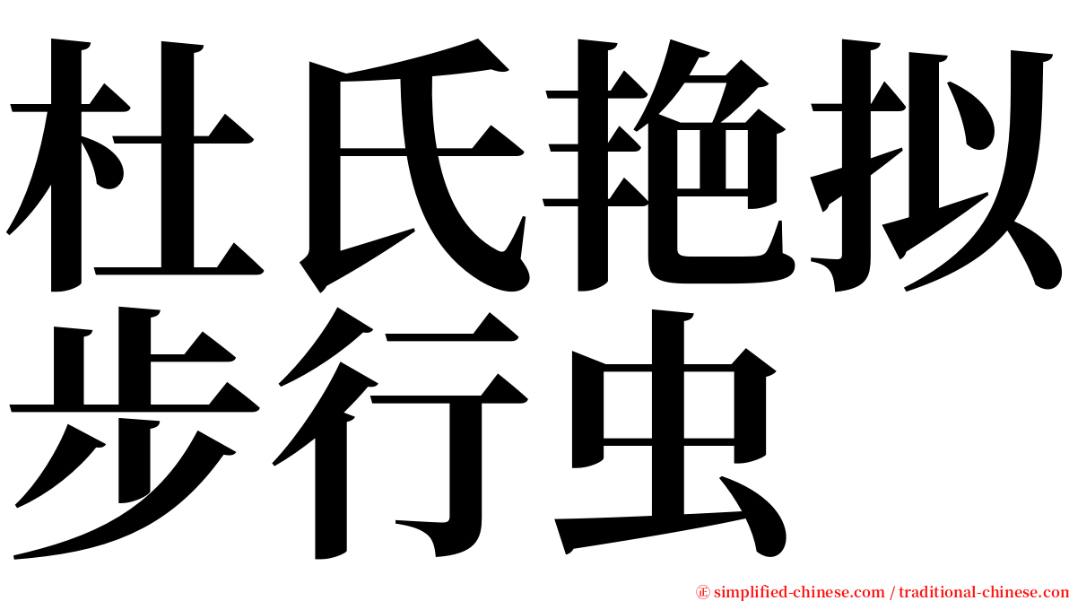 杜氏艳拟步行虫 serif font