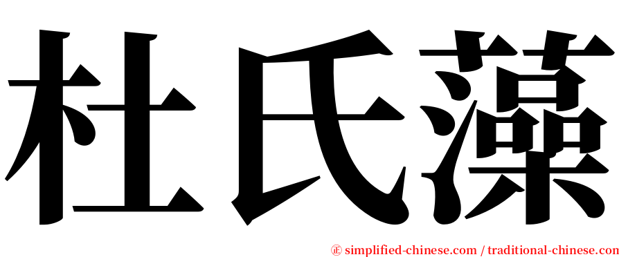 杜氏藻 serif font