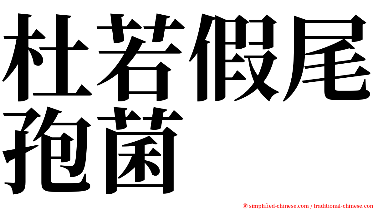 杜若假尾孢菌 serif font