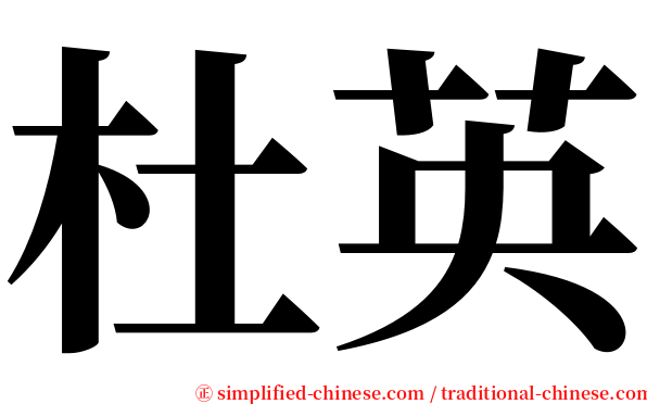 杜英 serif font