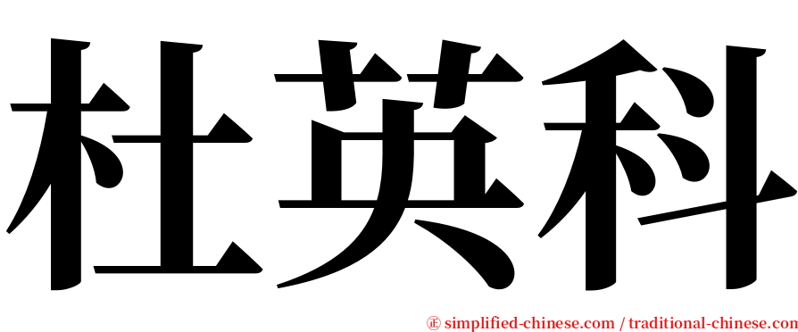 杜英科 serif font