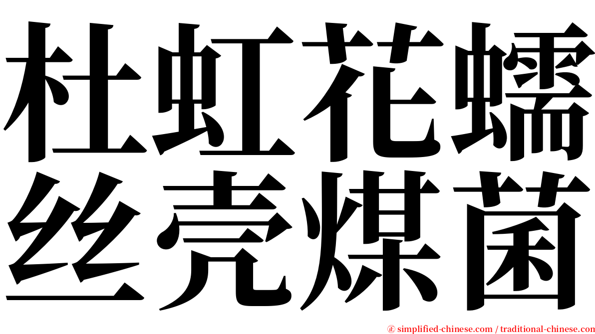 杜虹花蠕丝壳煤菌 serif font