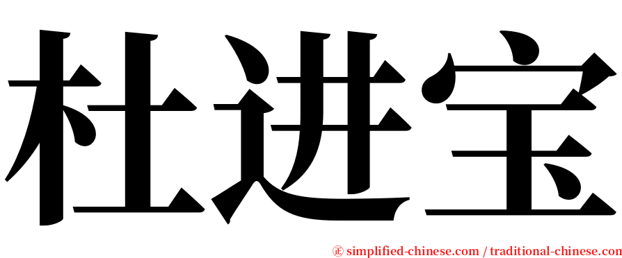 杜进宝 serif font