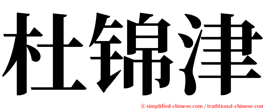 杜锦津 serif font