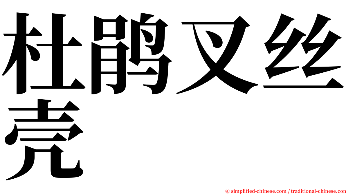 杜鹃叉丝壳 serif font