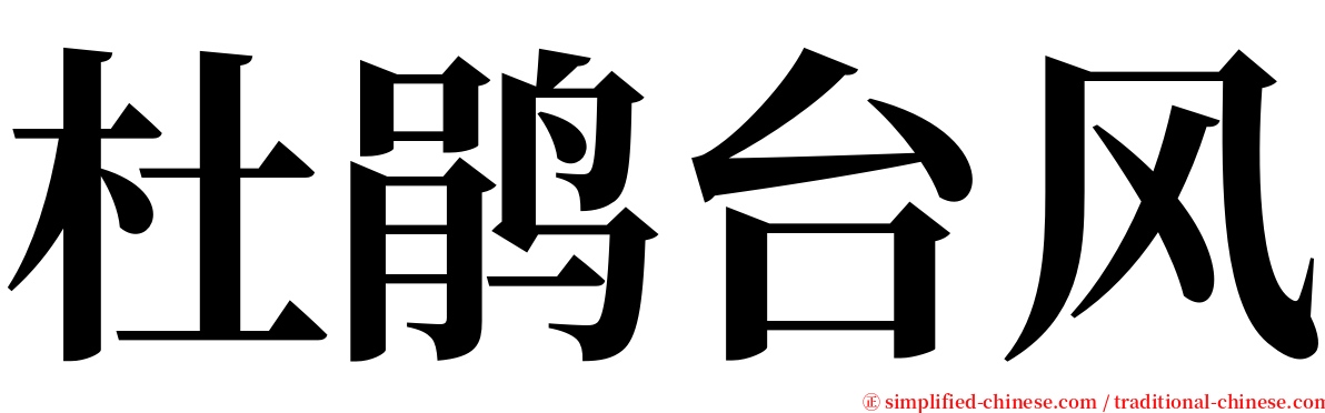 杜鹃台风 serif font