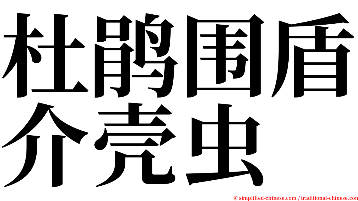 杜鹃围盾介壳虫 serif font