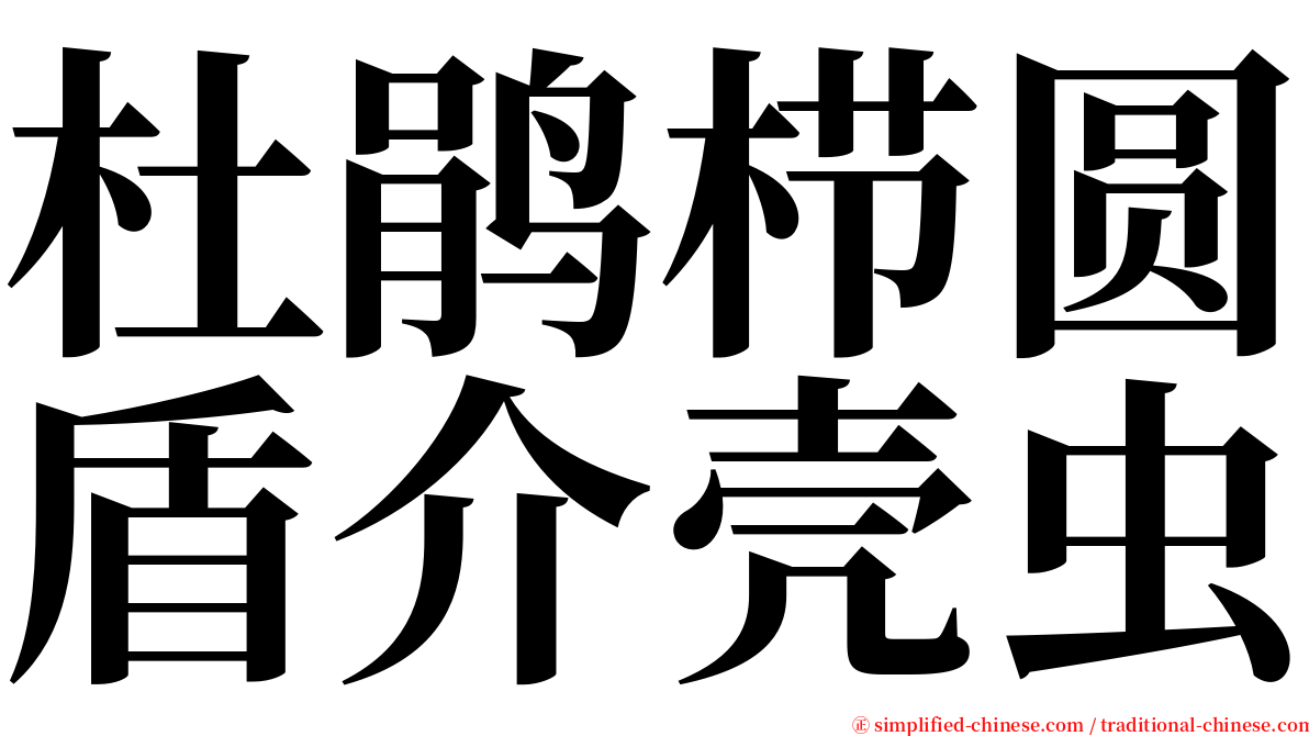 杜鹃栉圆盾介壳虫 serif font