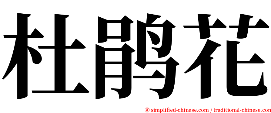 杜鹃花 serif font