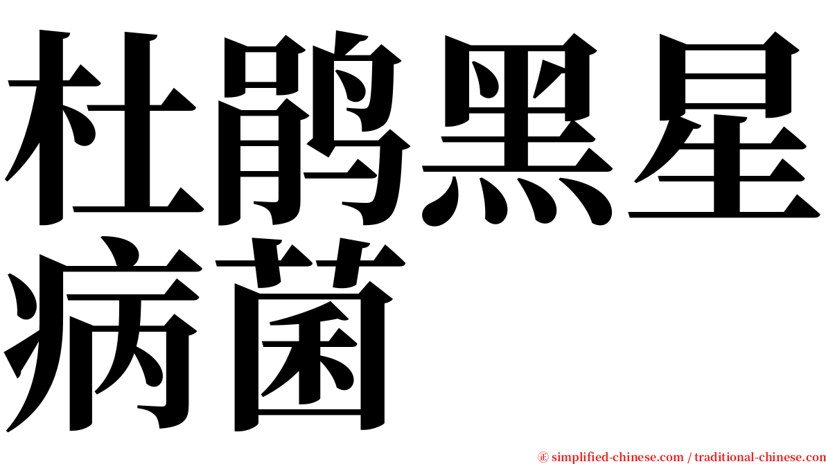 杜鹃黑星病菌 serif font