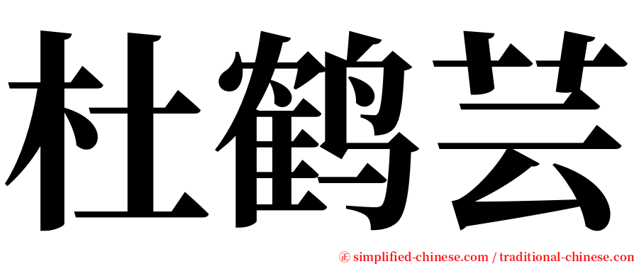 杜鹤芸 serif font