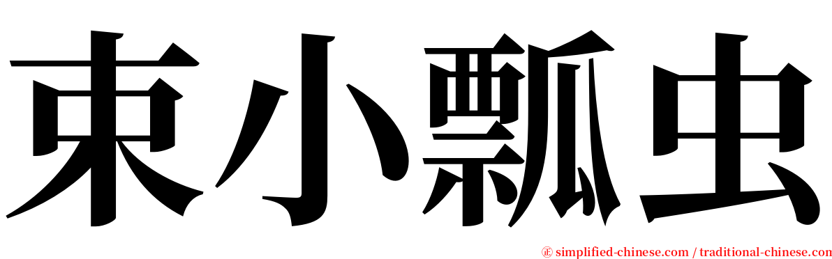 束小瓢虫 serif font