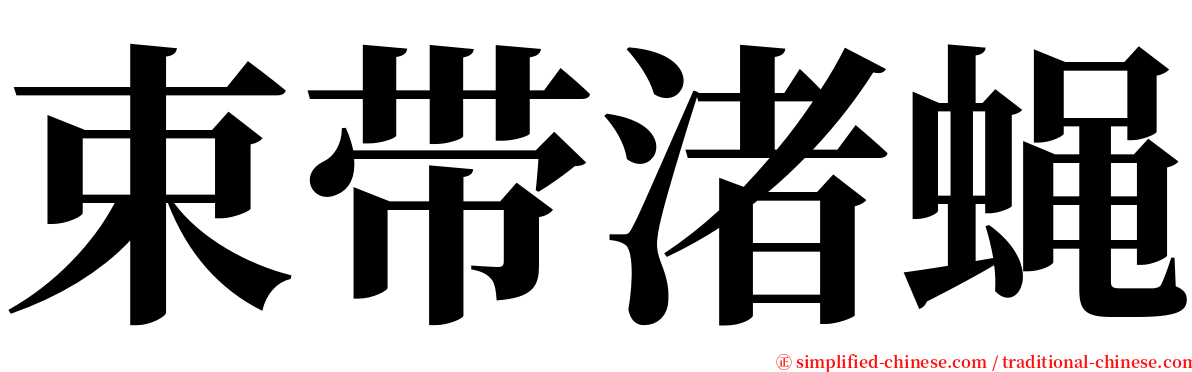 束带渚蝇 serif font