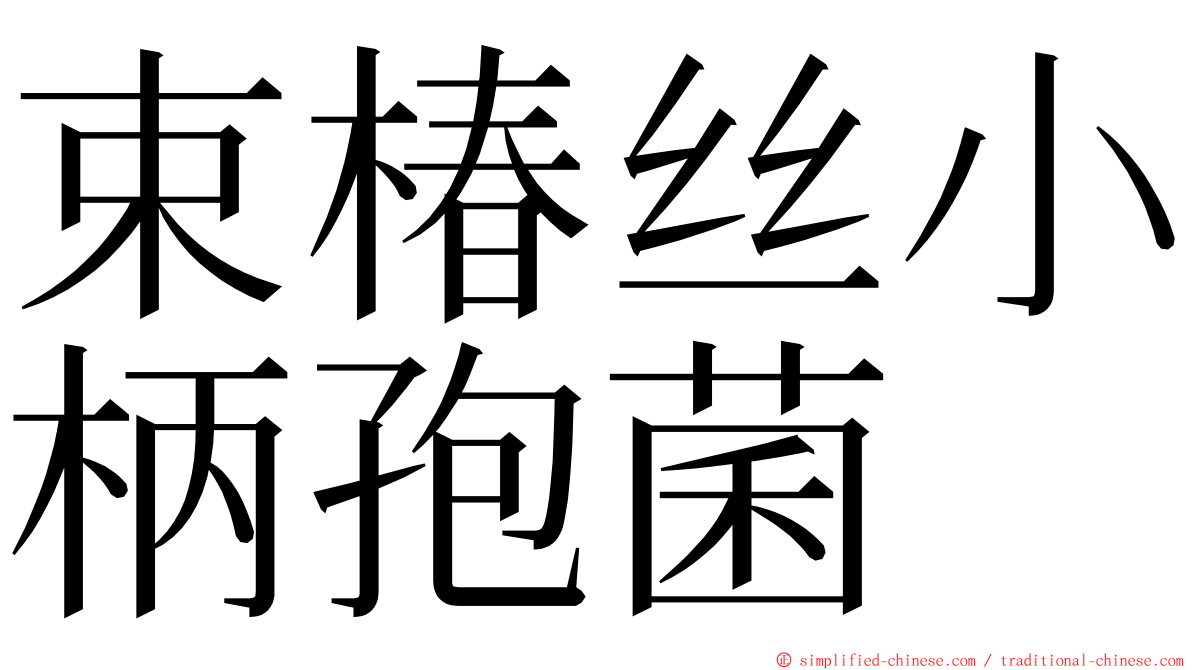 束椿丝小柄孢菌 ming font