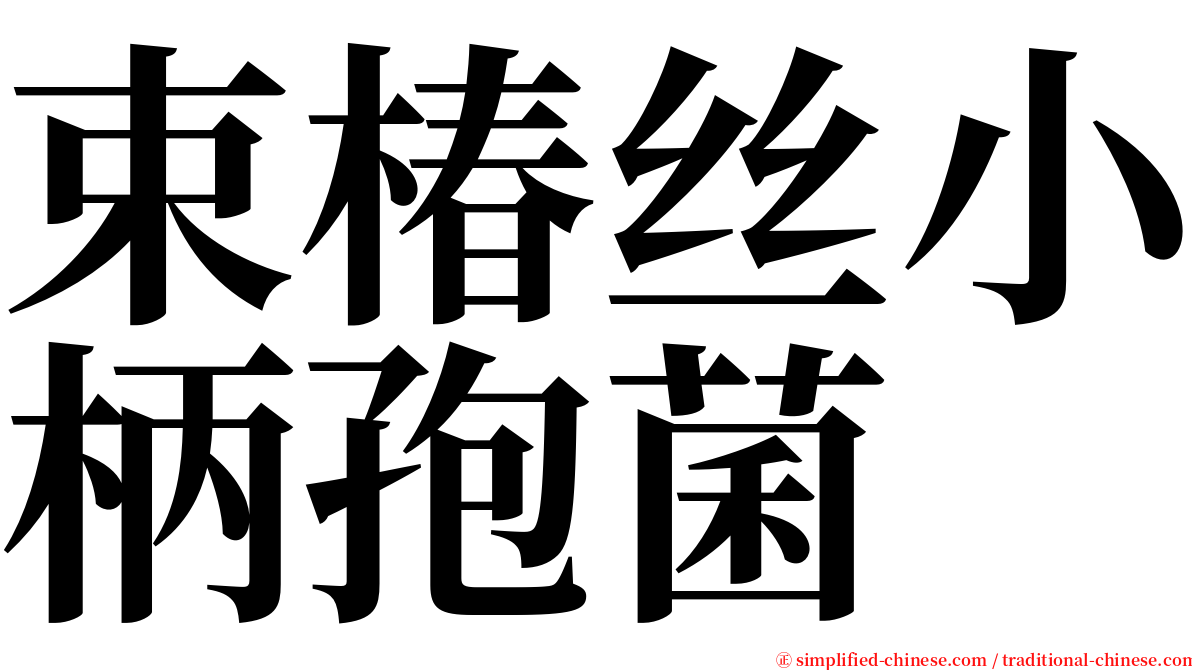 束椿丝小柄孢菌 serif font