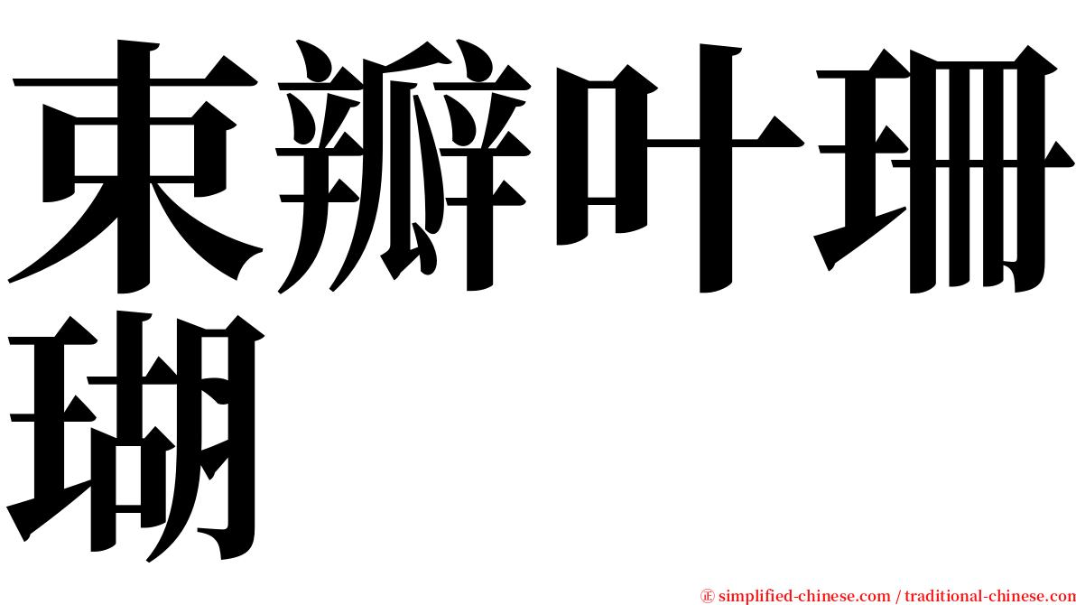 束瓣叶珊瑚 serif font