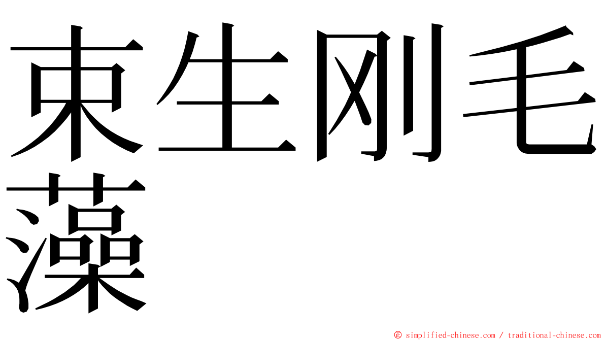 束生刚毛藻 ming font