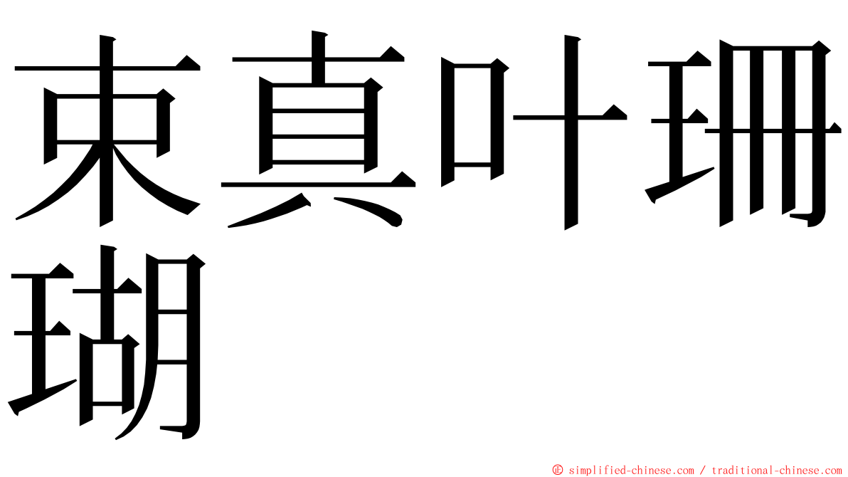 束真叶珊瑚 ming font