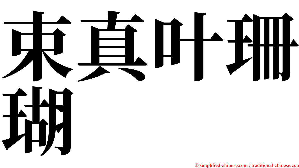 束真叶珊瑚 serif font