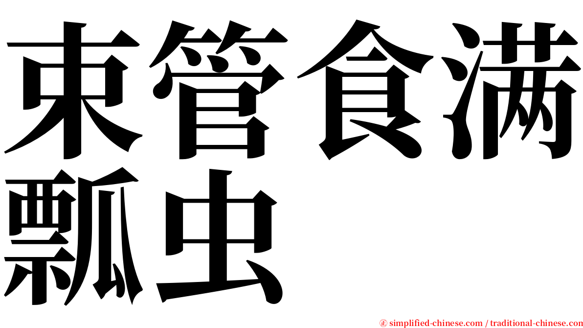 束管食满瓢虫 serif font