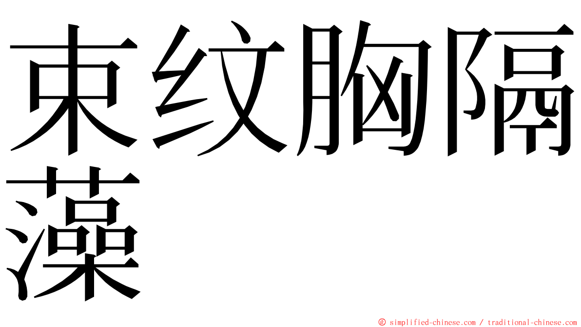 束纹胸隔藻 ming font