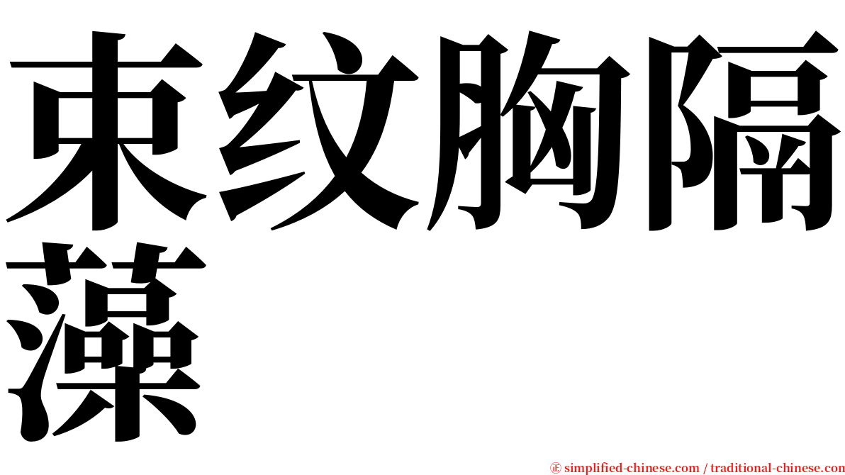 束纹胸隔藻 serif font