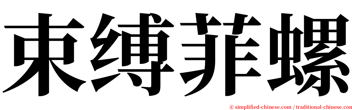 束缚菲螺 serif font