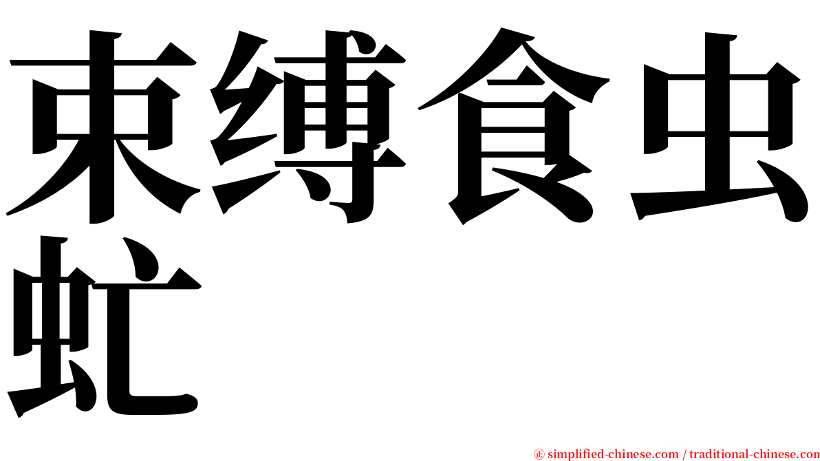 束缚食虫虻 serif font