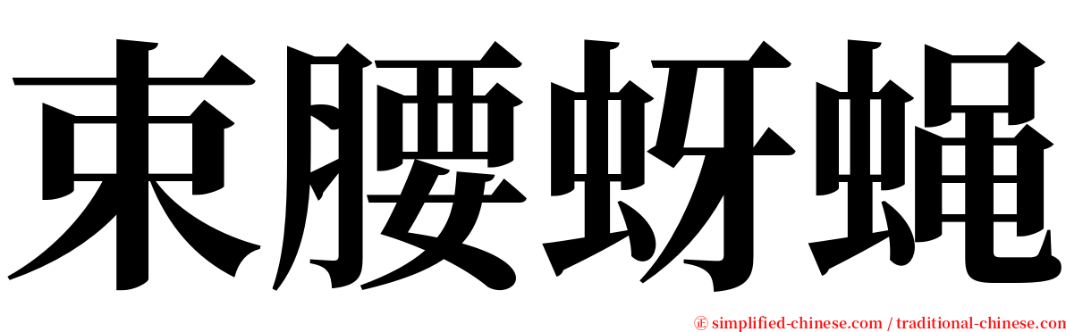 束腰蚜蝇 serif font