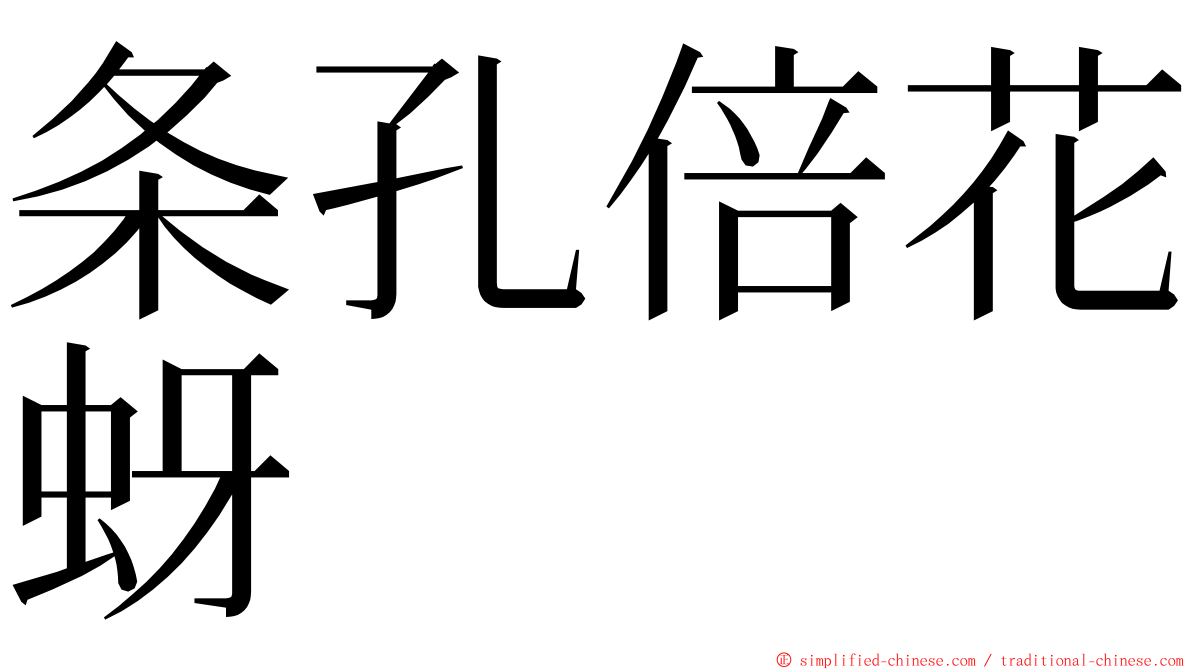 条孔倍花蚜 ming font