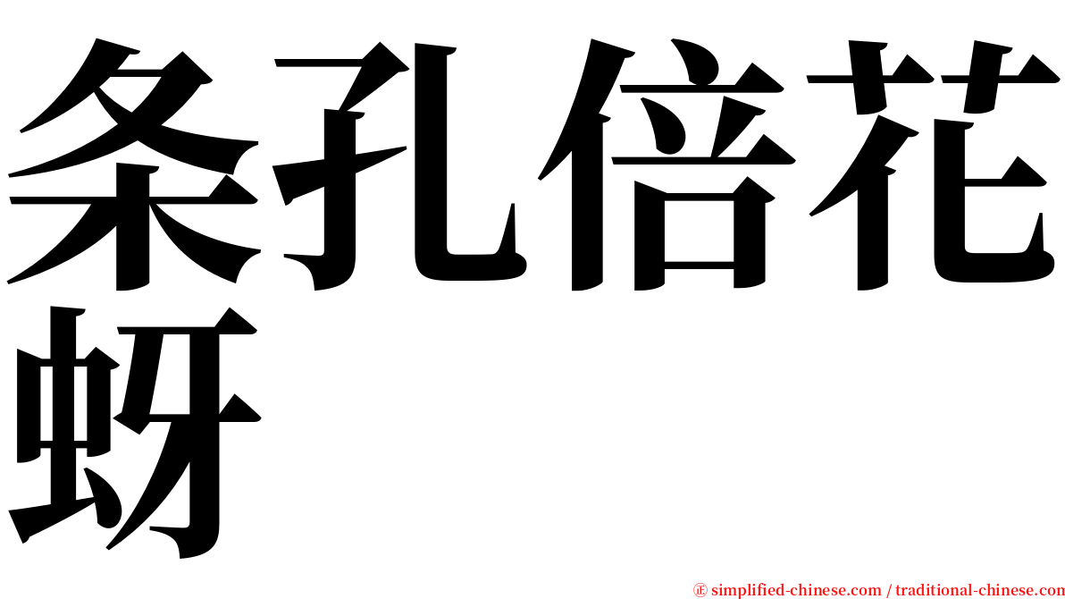 条孔倍花蚜 serif font