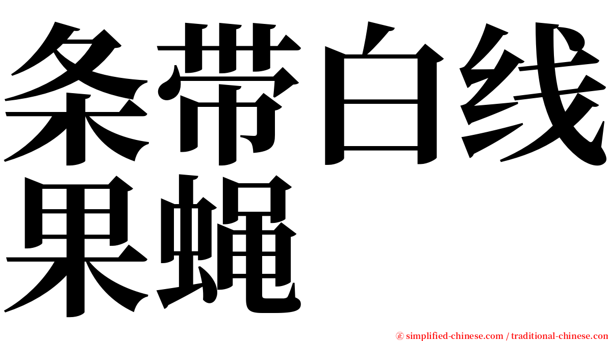 条带白线果蝇 serif font