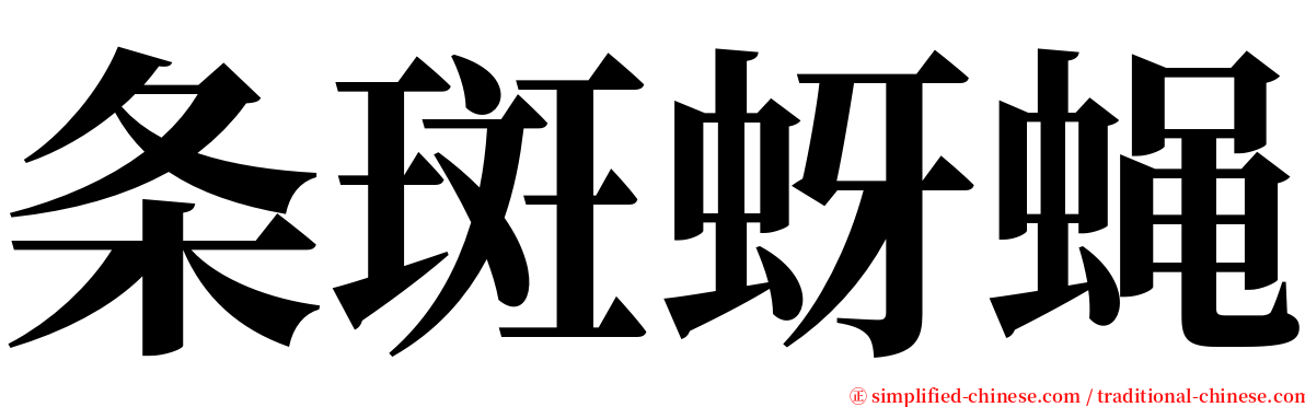 条斑蚜蝇 serif font