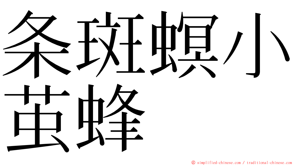 条斑螟小茧蜂 ming font