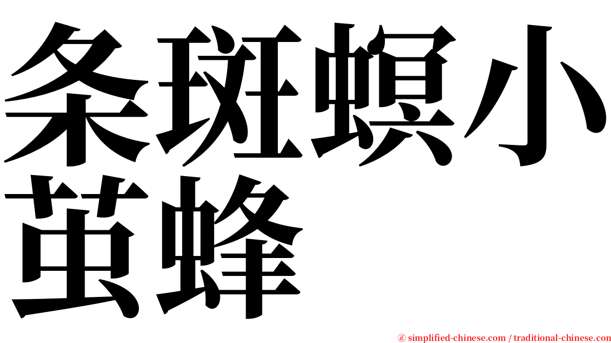 条斑螟小茧蜂 serif font