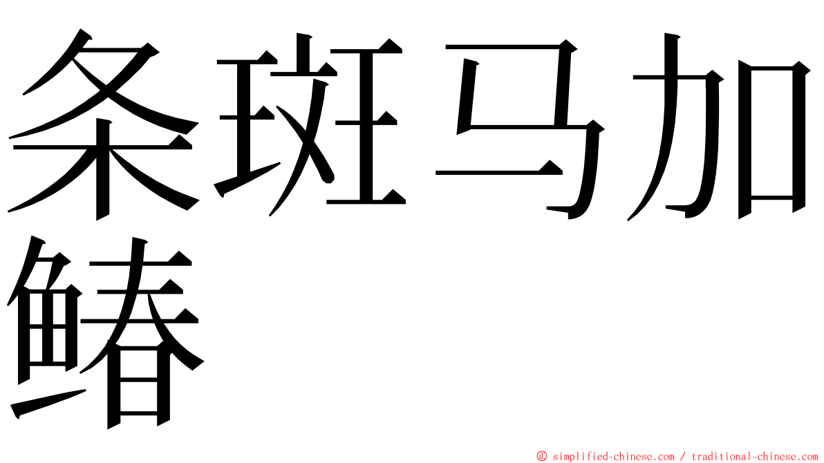 条斑马加䲠 ming font